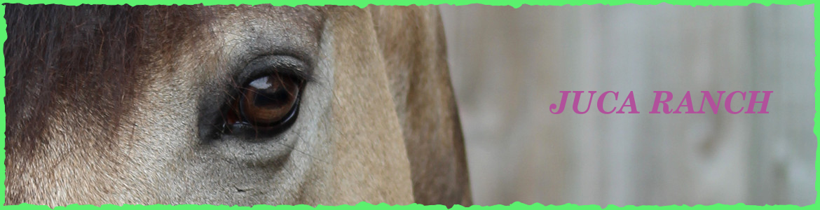JUCA RANCH